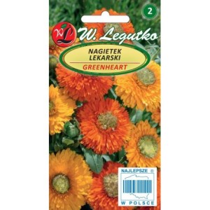Nagieteak Greenheart - Zielone Serce mix 2g  (Calendula officinalis) nasiona
