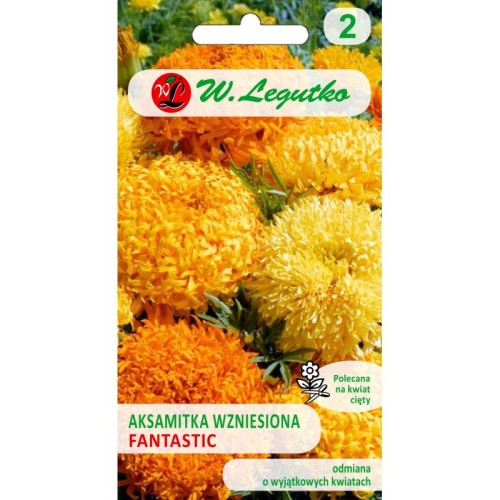 aksamitka-wzniesiona-fantastic-mieszanka leg.jpg