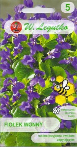 Fiołek wonny 0,3g (Viola odorata) nasiona