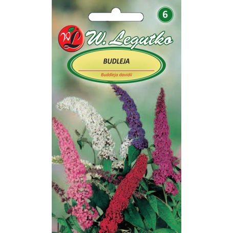 budleja-mieszanka.jpg