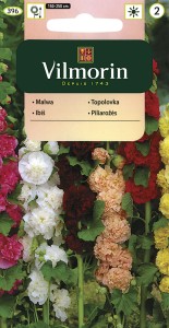 Malwa,Prawoślaz 1g  ( althea rosea fl.pl.Chaters) nasiona