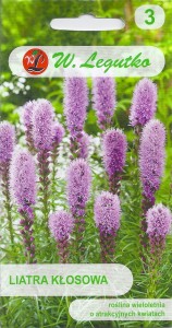 Liatra kłosowa fioletowa 0,2g (Liatris spicata) nasiona 