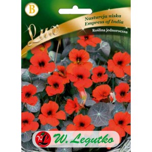 Nasturcja niska ,szkarłatna o ciemnych liściach Empress of India 5g (Tropaeolum majus nanum) nasiona serii Lux