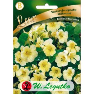 Nasturcja wysoka,pnąca biało kremowa Milkmaid 5g (Tropaeolum majus ) nasiona  serii Lux