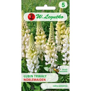 Łubin trwały biały Noblemaiden 2g (Lupinus polyphyllus) nasiona