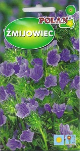 Żmijowiec mix 1g  (Echium plantagineum )nasiona  