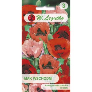 Mak wschodni mieszanka kolorów 0,5g (Papaver orientale) nasiona