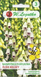 Naparstnica purpurowa biała Elsie Kelsey  0,1g (Digitalis purpurea) nasiona
