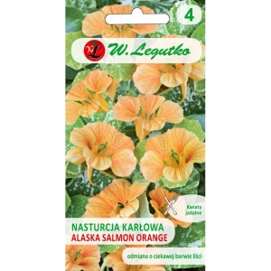 Nasturcja karłowa o pstrych liściach  Alaska Salmon Orange 3g (Tropaeolum majus var.nanum) nasiona
