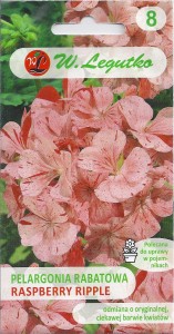 Pelargonia rabatowa, Raspberry Ripple F1 0,05g (Pelargonium x hortorum) nasiona 