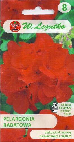 pelargonia czer.jpg