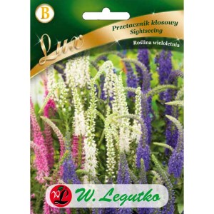 Przetacznik kłosowy Sightseeing mieszanka kolorów 0,1g (Veronica spicata) nasiona serii Lux