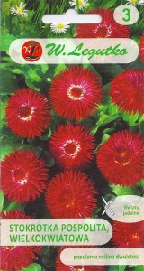 Stokrotka wielkokwiatowa czerwona  0,1g (Bellis perennis) nasiona