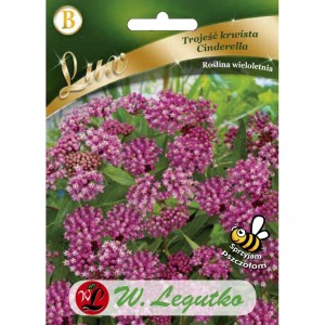 Trojeść krwista Cindirella 0,3g (Asceplias incarnata) nasiona serii Lux
