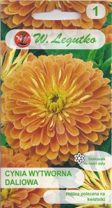Cynia daliowa Eldorado 1g łososiowa (Zinnia elegans dahliaefora) nasiona