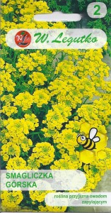 Smagliczka górska 0,5g (Alyssum mantanum) nasiona