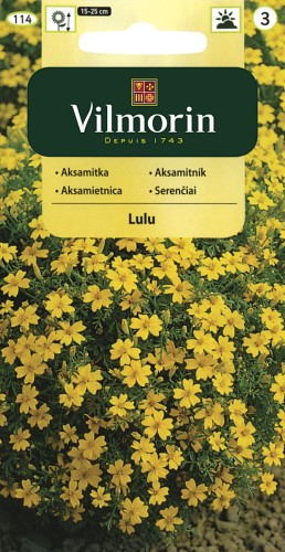 vilmorin zdjęcia 011.jpg