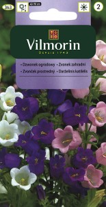Dzwonek ogrodowy  0,5g ( Campanula medium) nasiona 