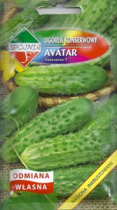Ogórek Avatar  F1 5g , odporny na parcha dyniowatych 
