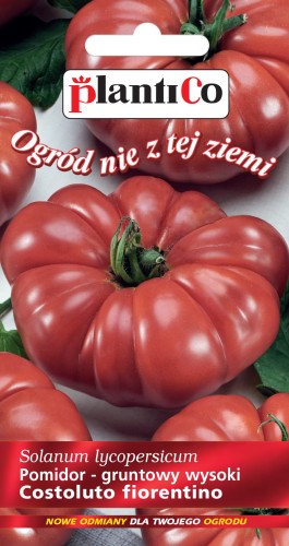 pomidor costo.jpg