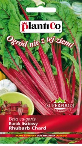 Burak lisciowy Rhubarb Chard 5g  nasiona
