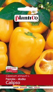 Papryka słodka żółta Calipso 0,5g (nasiona)