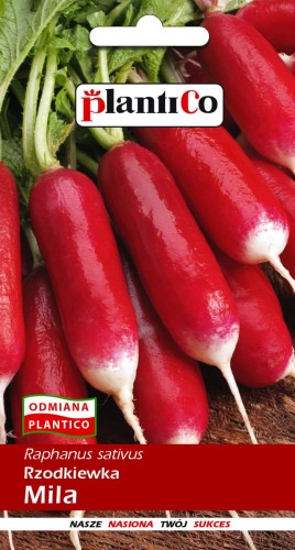 rzodkiewka mila.jpg