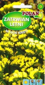 Zatrwian letni /wrębny żółty 0,5g (Limonium sinuatum) nasiona