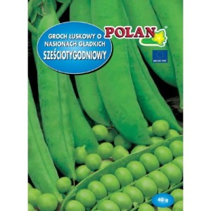 Groch Sześciotygodniowy 40g nasiona 