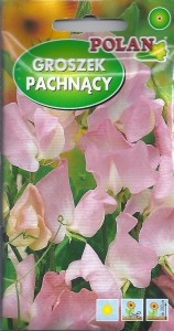 Groszek pachnący  jasnoróżowy 3g ( Lathyrus odoratus) nasiona