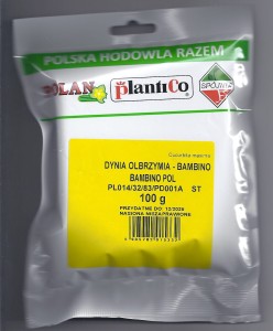 Dynia Bambino 100g (nasiona)