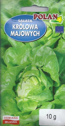 sałata król 10g.jpg