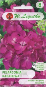 Pelargonia rabatowa, fioletowa Gama F1 0,05g (Pelargonium x hortorum) nasiona   