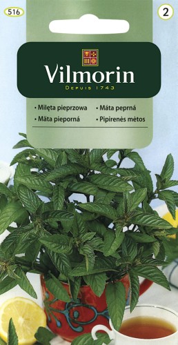 vilmorin zdjęcia 244.jpg