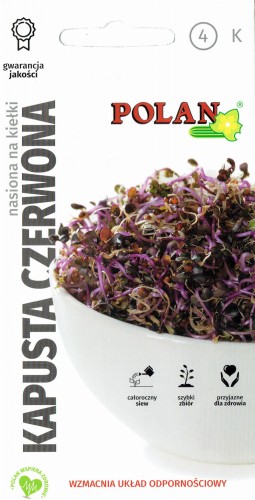 kapusta czerwona kiełki.jpg