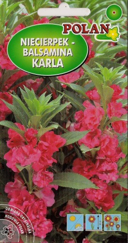 niecierpek karla.jpg