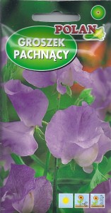 Groszek pachnący  lilowo-modry 3g ( Lathyrus odoratus) nasiona 