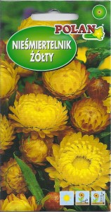 Nieśmiertelnik żółty , Kocanka 1g (Helichrysum bracteatum monstrosum) nasiona   