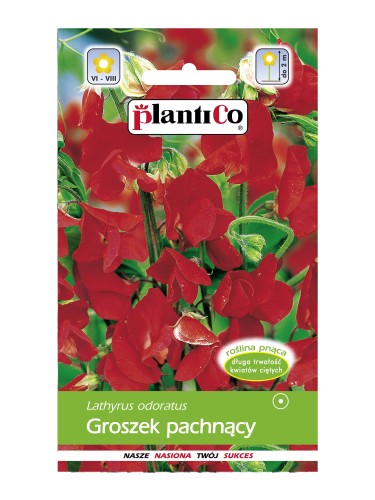 groszek czer pce.jpg