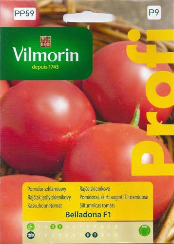 pomidor belladona F1 szklarniowy