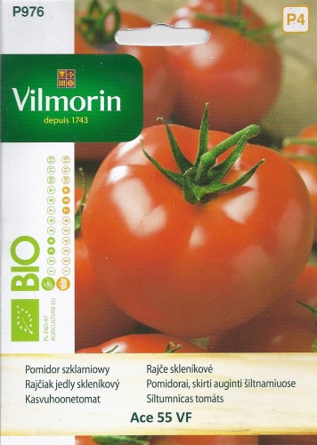 Pomidor  ACE 55 VF szklarniowy , typ baron, nasiona bio