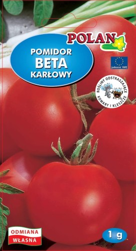 pomidor karłowy beta.jpg