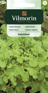 Sałata lisciowa Salad Bowl 1g nasiona 