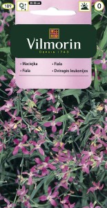 Maciejka 4g (Matthiola bicornis) nasiona   