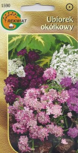 Ubiorek okółkowy mix 0,5/1g (Iberis umbellata )