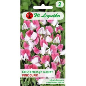 Groszek pachnący karłowy Pink Cupid 3g (Lathyrus odoratus) nasiona  