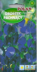 Groszek pachnący  granatowy 3g ( Lathyrus odoratus) nasiona  