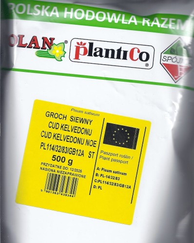 groch cud 500.jpg