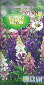 Łubin letni Hartwiga 5g (Lupinus hartwegii) nasiona  