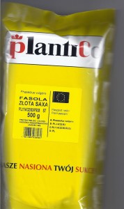 Fasola szparagowa karłowa Złota Saxa 0,5kg nasiona 